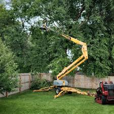 Best Tree Health Inspection  in Bowdon, GA