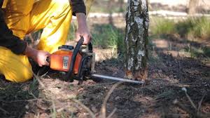 Best Lawn Mowing  in Bowdon, GA
